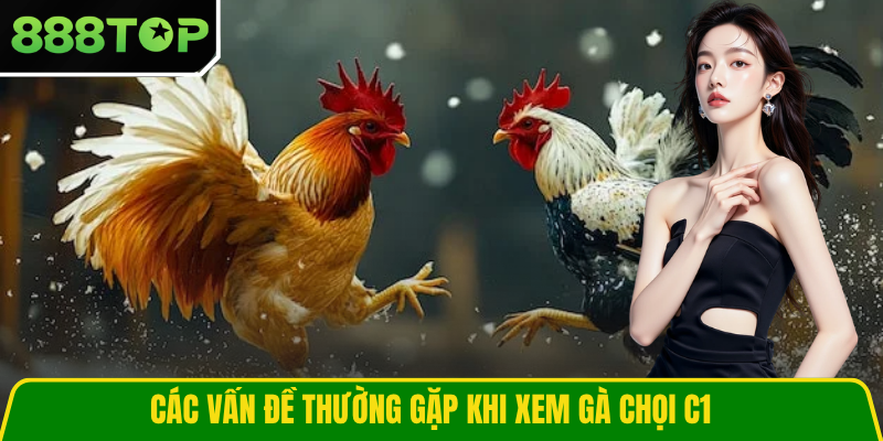 Các vấn đề thường gặp khi xem gà chọi C1