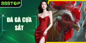Đá Gà Cựa Sắt - Giải Trí Với Trận Tranh Tài Đỉnh Cao