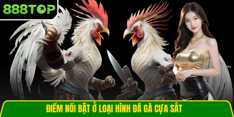 Điểm nổi bật ở loại hình đá gà cựa sắt