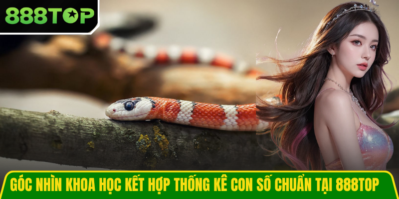 Góc nhìn khoa học kết hợp thống kê con số chuẩn tại 888TOP