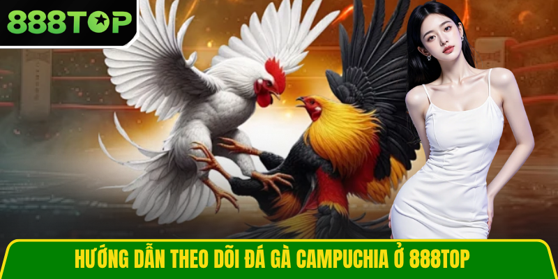 Hướng dẫn theo dõi đá gà Campuchia ở 888TOP Hướng dẫn theo dõi đá gà Campuchia ở 888TOP