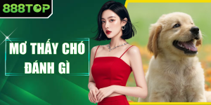 Mơ Thấy Chó Đánh Gì - Khơi Dậy Nguồn May Mắn Tiềm Năng