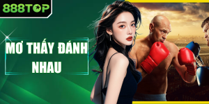 Mơ Thấy Đánh Nhau - Giải Mã Điềm Báo Và Bí Mật Lô Đề