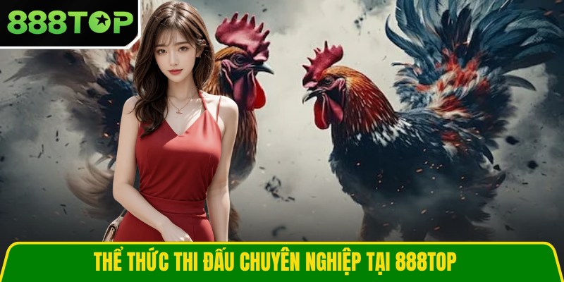 Thể thức thi đấu chuyên nghiệp tại 888TOP