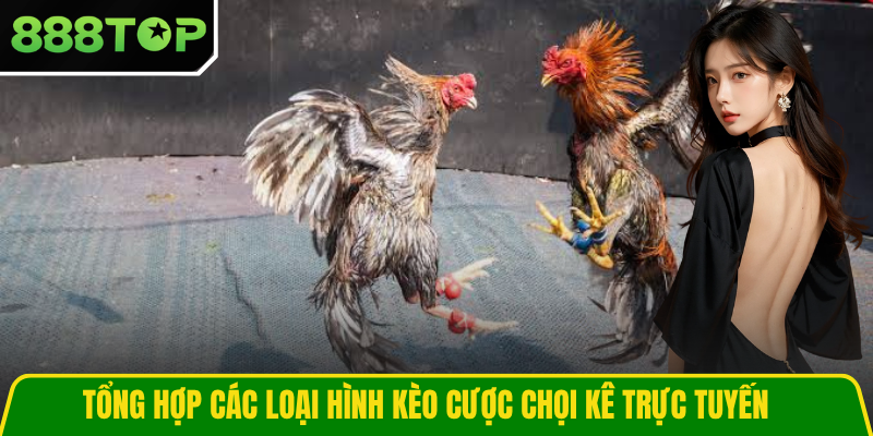 Tổng hợp các loại hình kèo cược chọi kê trực tuyến