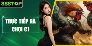 Trực Tiếp Gà Chọi C1 - Theo Dõi Thi Đấu Mãn Nhãn Từng Giây