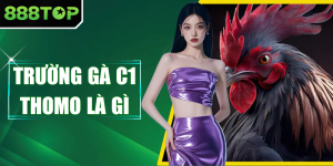 Trường Gà C1 Thomo Là Gì - Quy Mô Và Phương Thức Hoạt Động
