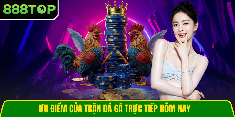 Ưu điểm của trận đá gà trực tiếp hôm nay