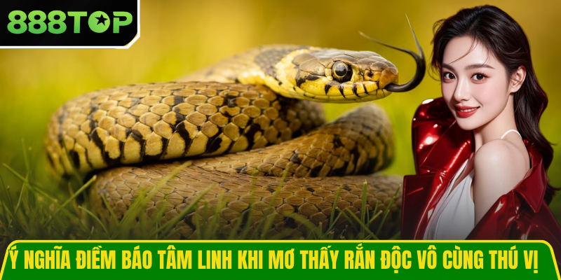 Ý nghĩa điềm báo tâm linh khi mơ thấy rắn độc vô cùng thú vị