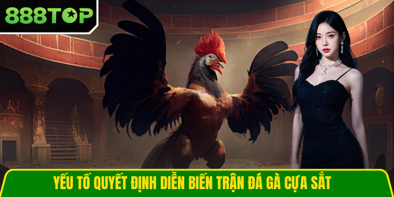Yếu tố quyết định diễn biến trận đá gà cựa sắt
